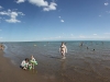 IMG_8442 Panorama